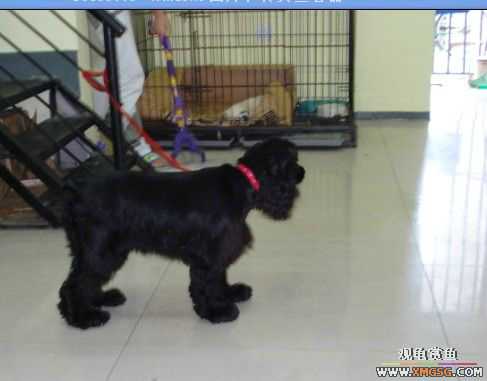 [ԭ��]�������׼�