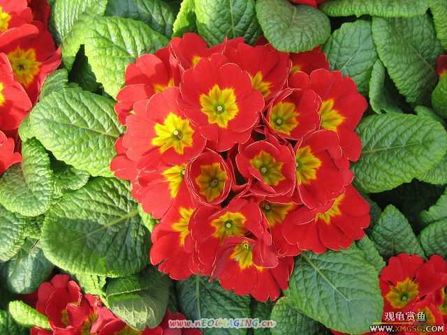 �����һЩС�Ժ;�ɫ