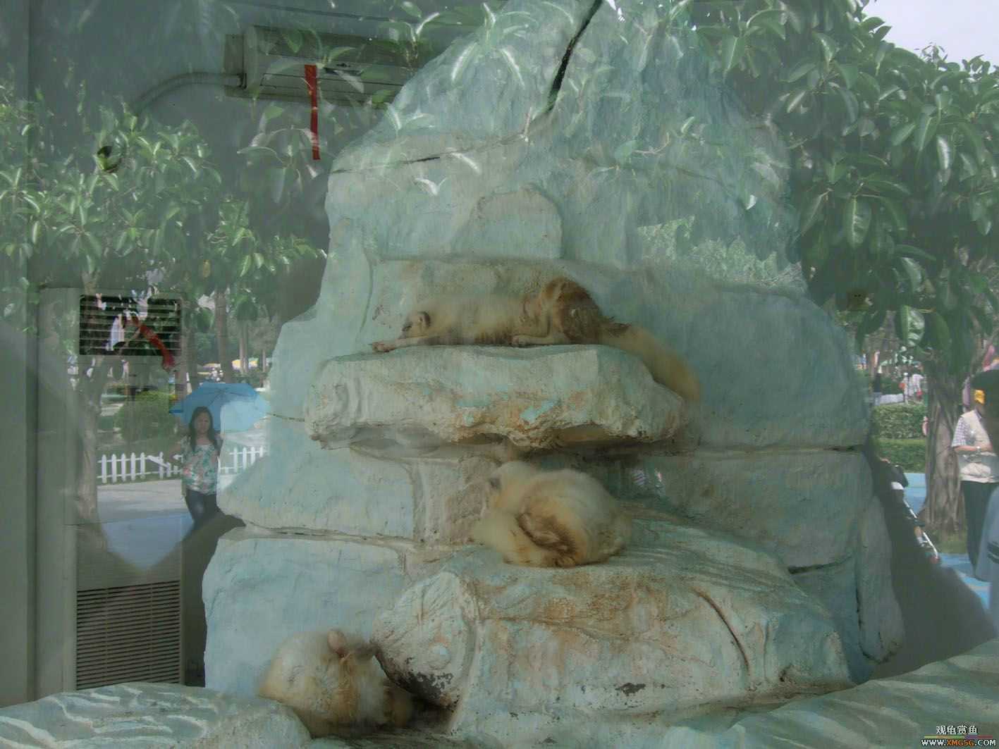 [ԭ��]5.1�ر��ж��㱨---���ں��������μ�