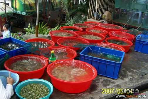 [����]���ʸô��ŵ�������?(����������ĺڵ�)