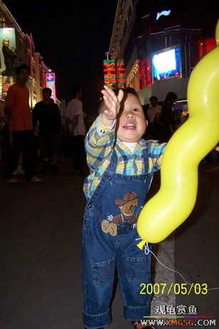 [����]���ʸô��ŵ�������?(����������ĺڵ�)