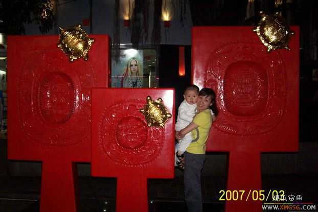 [����]���ʸô��ŵ�������?(����������ĺڵ�)