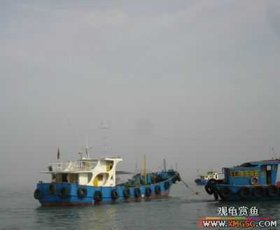 07.05.06.����������