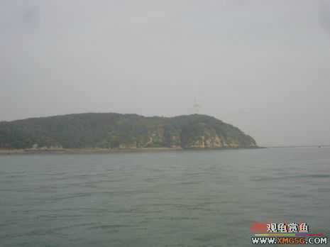 07.05.06.����������