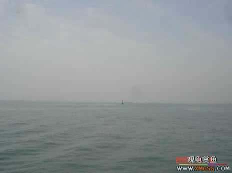 07.05.06.����������