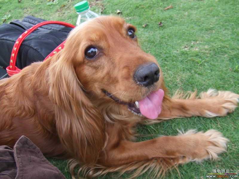 [ԭ��]������ֻ�ɿ�С�ۼǡ�