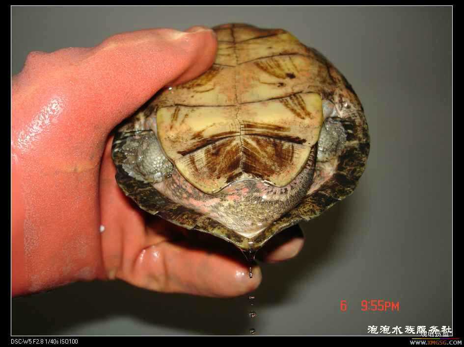 [���ݷ�����]����һ���۰����