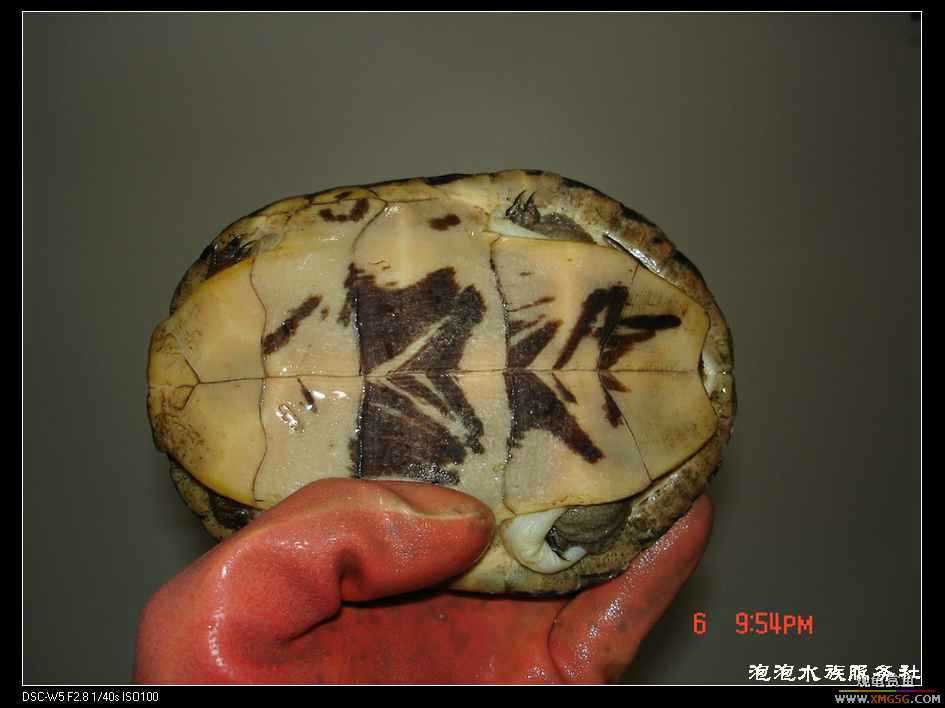 [���ݷ�����]����һ���۰����