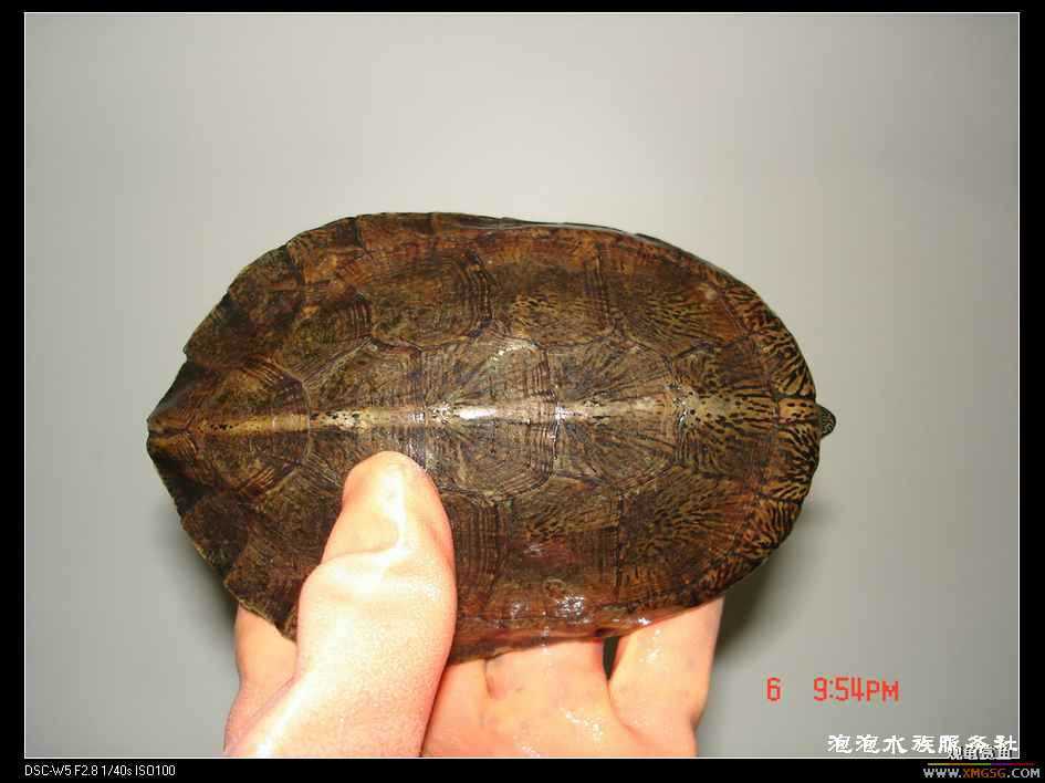 [���ݷ�����]����һ���۰����