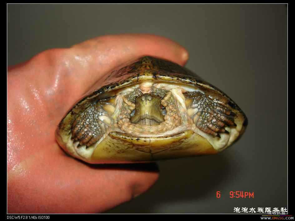 [���ݷ�����]����һ���۰����