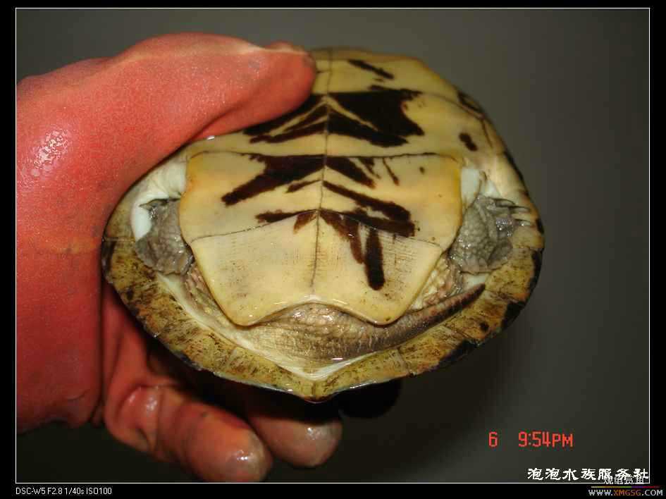 [���ݷ�����]����һ���۰����