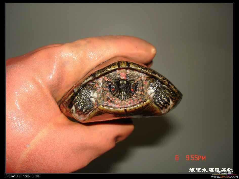 [���ݷ�����]����һ���۰����