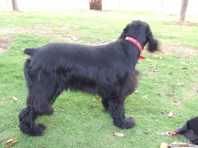 [ԭ��]������ֻ�ɿ�С�ۼǡ�