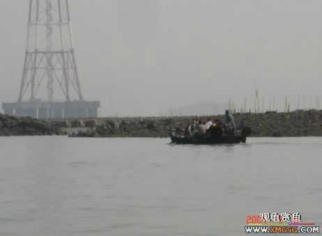 07.05.06.����������