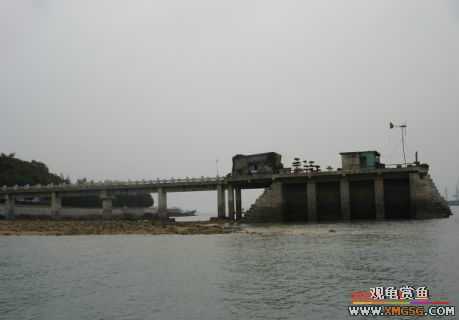 07.05.06.����������