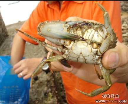 07.05.06.����������