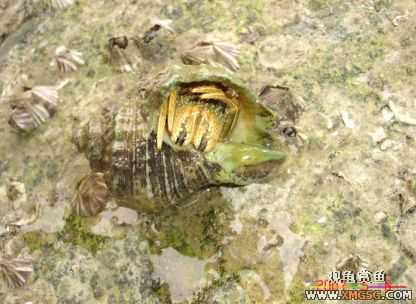 07.05.06.����������