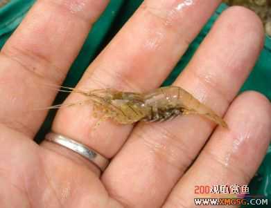 07.05.06.����������