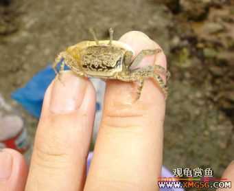 07.05.06.����������