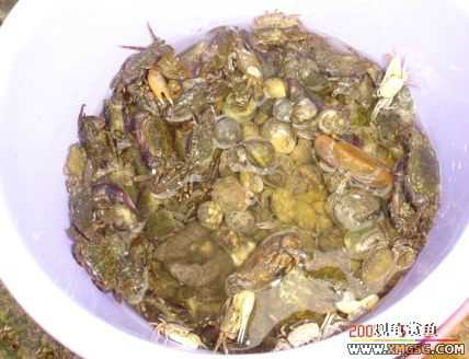 07.05.06.����������