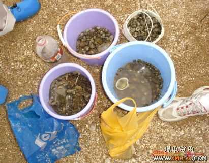 07.05.06.����������