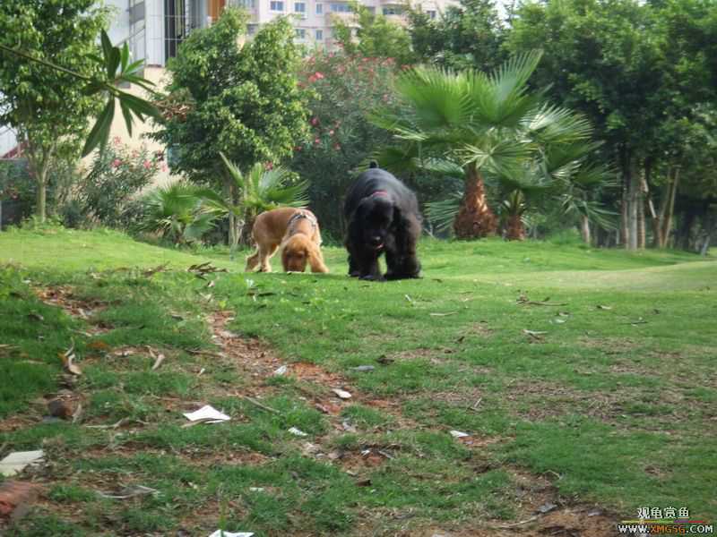 [ԭ��]������ֻ�ɿ�С�ۼǡ�