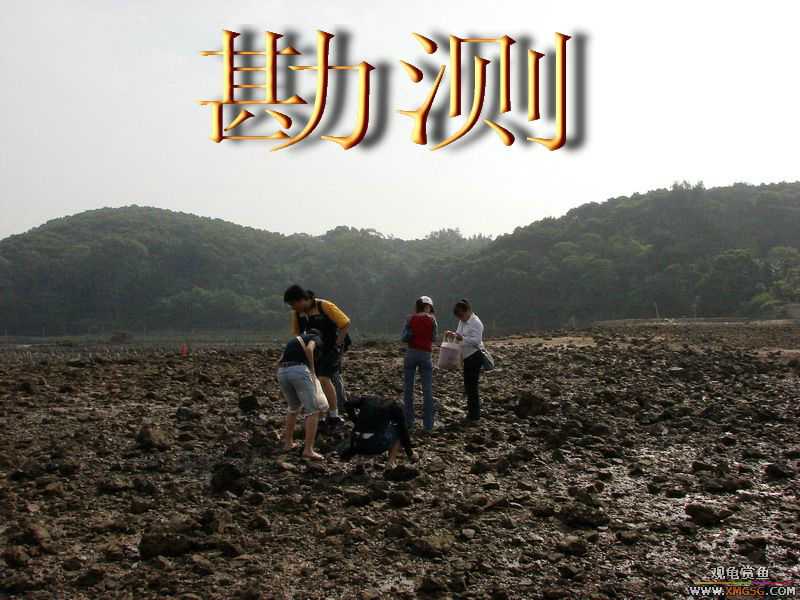 07.05.06.����������