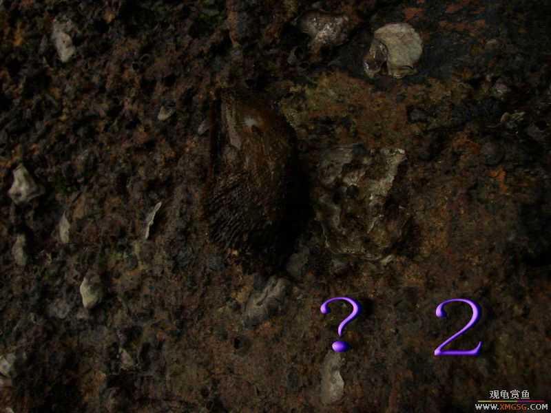 07.05.06.����������