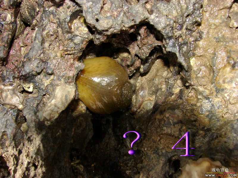 07.05.06.����������