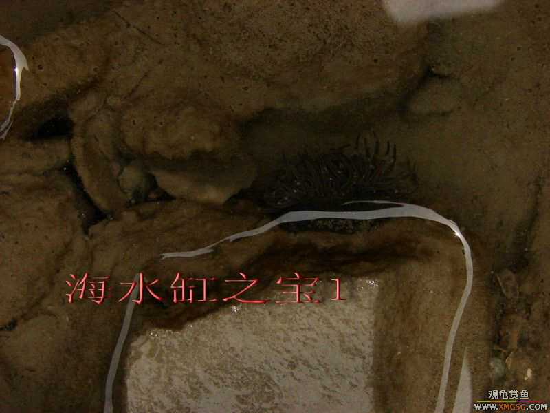 07.05.06.����������