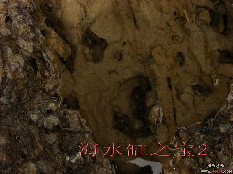 07.05.06.����������