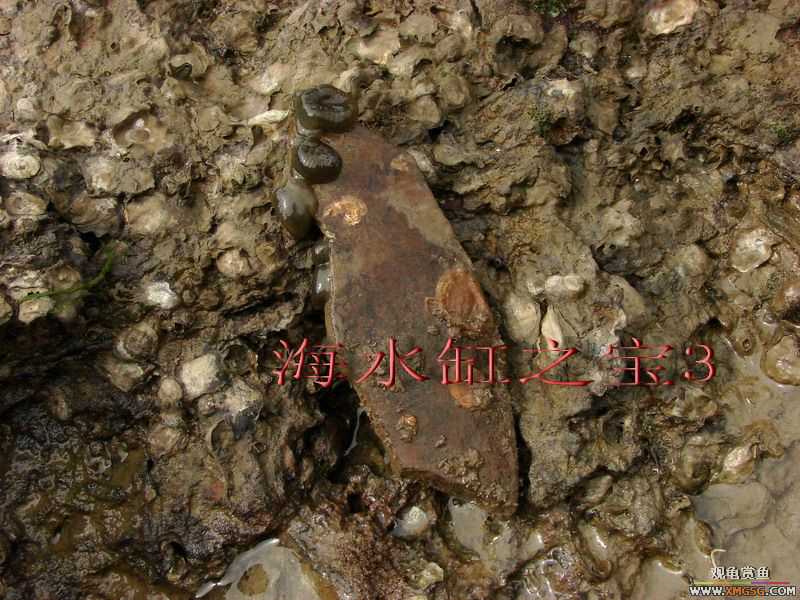 07.05.06.����������