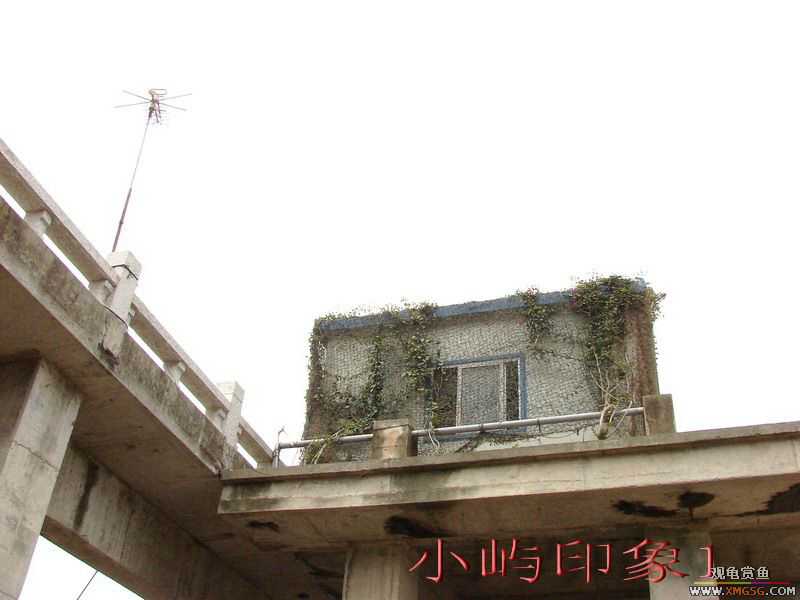 07.05.06.����������