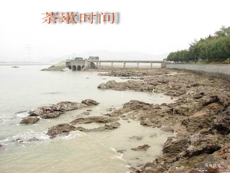 07.05.06.����������