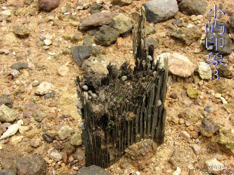 07.05.06.����������