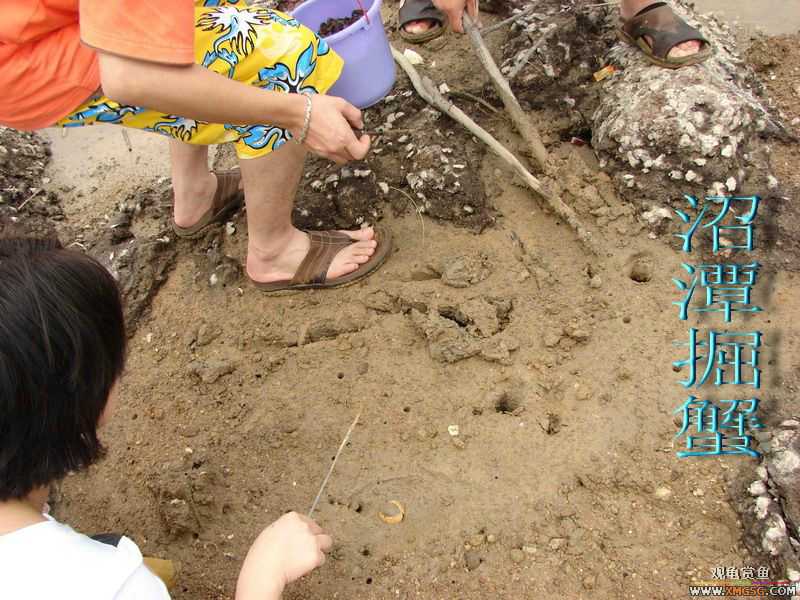 07.05.06.����������