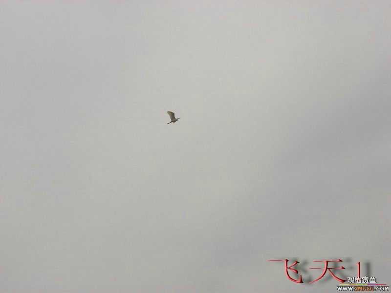 07.05.06.����������