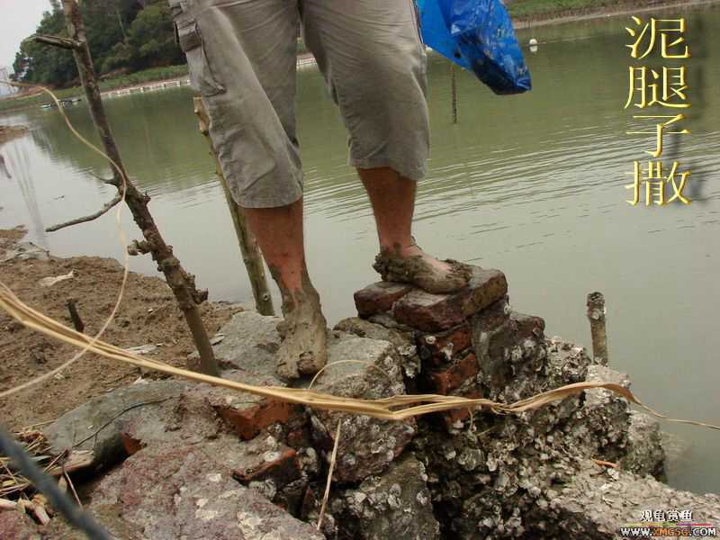 07.05.06.����������