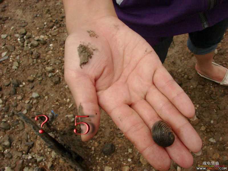 07.05.06.����������