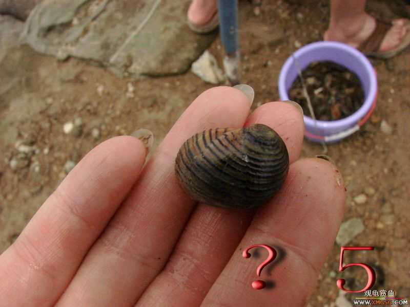 07.05.06.����������