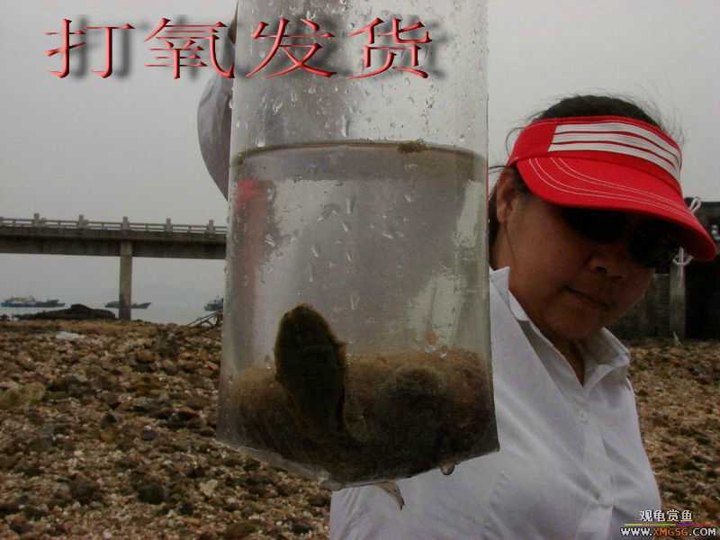 07.05.06.����������