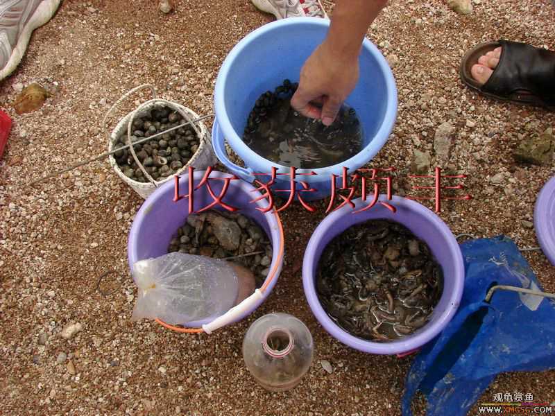 07.05.06.����������