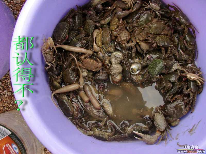 07.05.06.����������