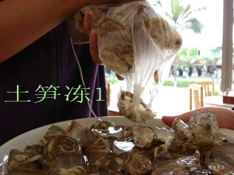 07.05.06.����������