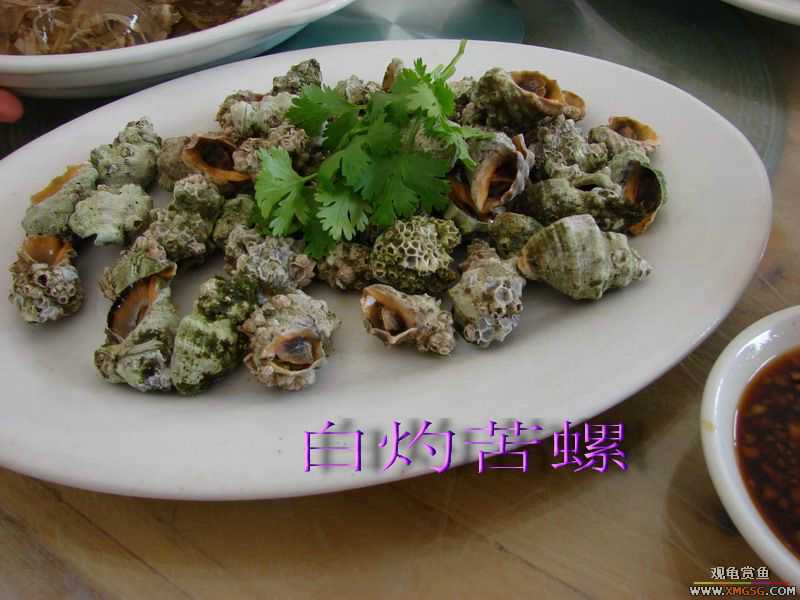 07.05.06.����������