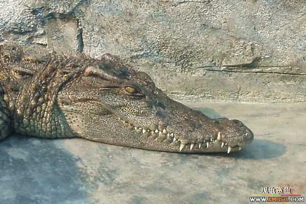 ��5.1���й��