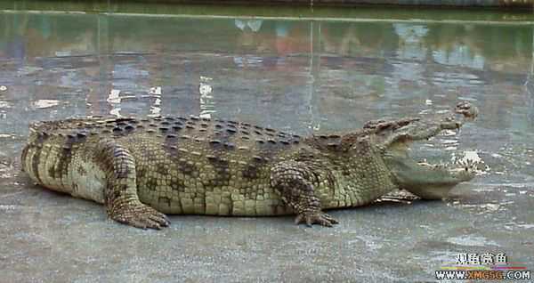 ��5.1���й��