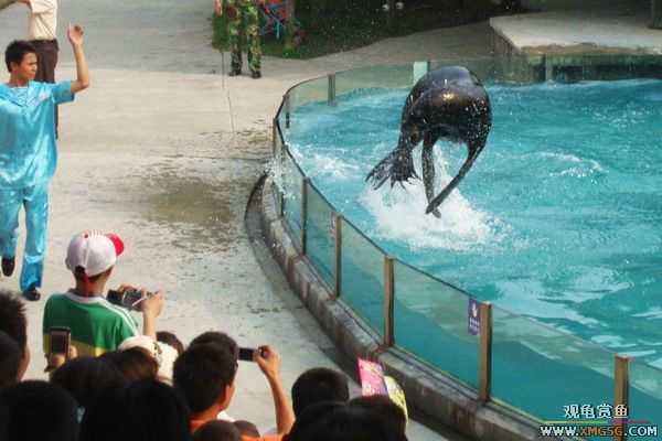 ��5.1���й��