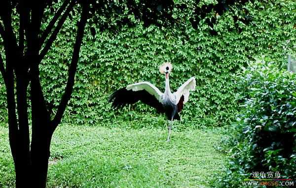 ��5.1���й��