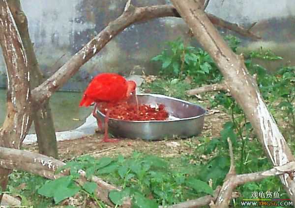 ��5.1���й��